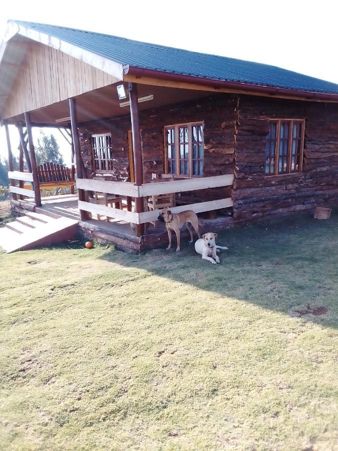 شقة The Wonky House Timau المظهر الخارجي الصورة